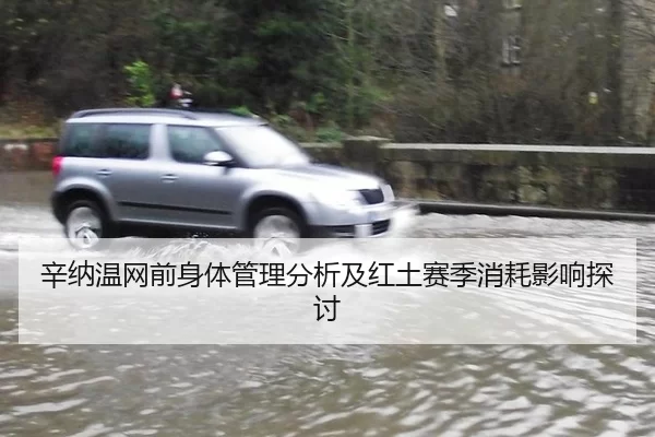 辛纳温网前身体管理分析及红土赛季消耗影响探讨